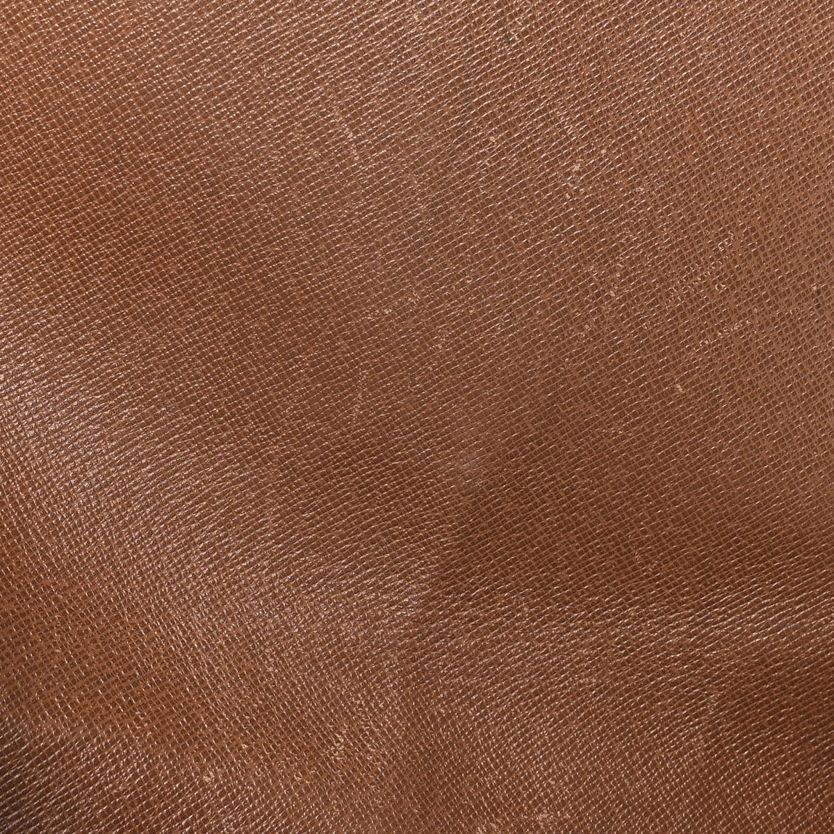 Monogram Saint Cloud GM