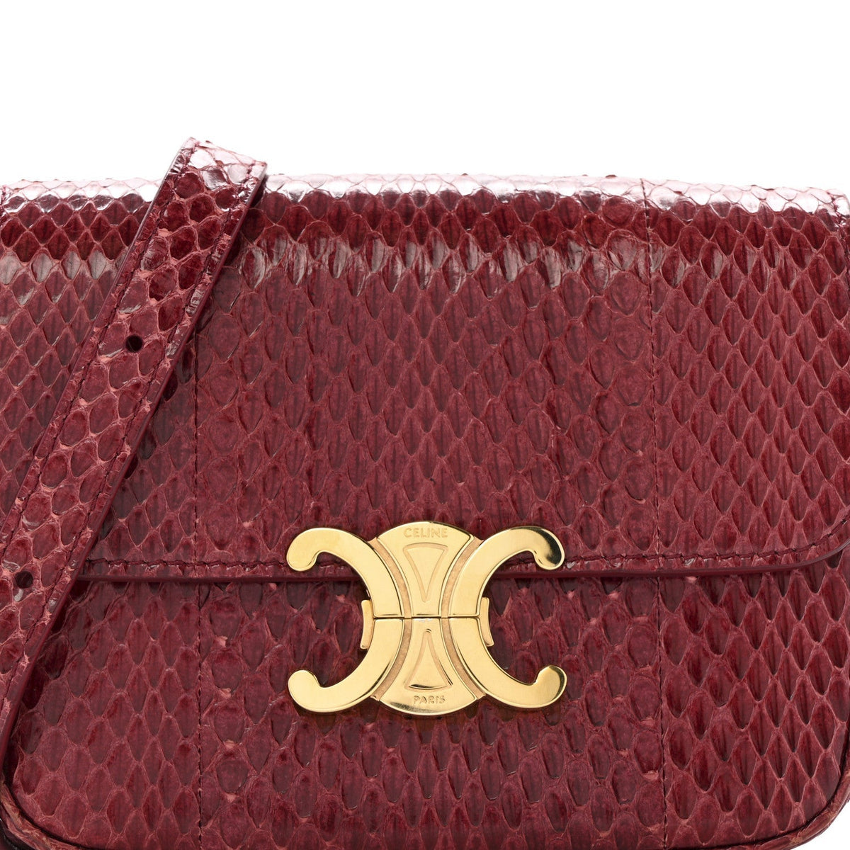 Watersnake Teen Triomphe Ruby