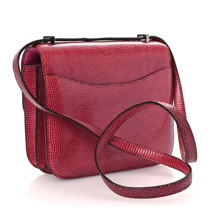 Lizard Constance 18 Fuchsia