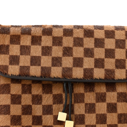 Damier Sauvage Gazelle Pochette