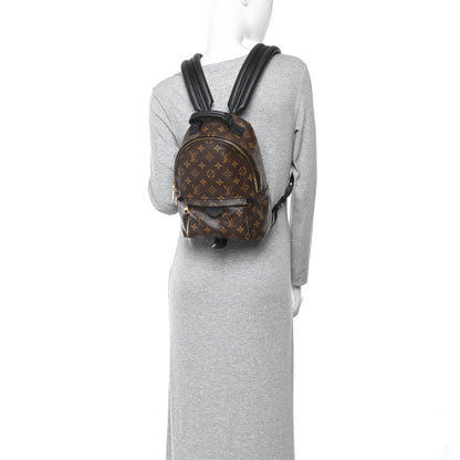Monogram Palm Springs Backpack PM