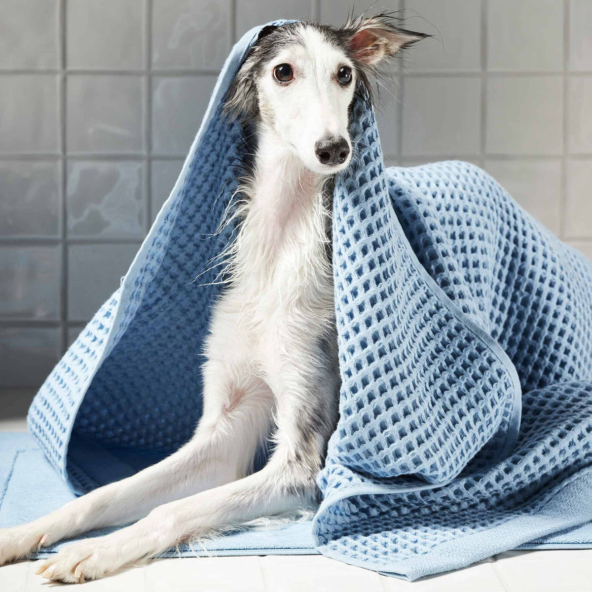 Dreamweave Waffle Bath Sheets Set of 2 - Last Call