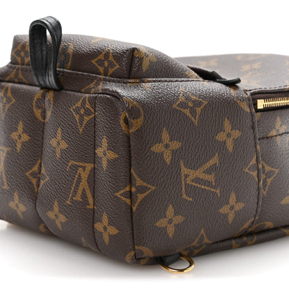 Monogram Palm Springs Backpack Mini