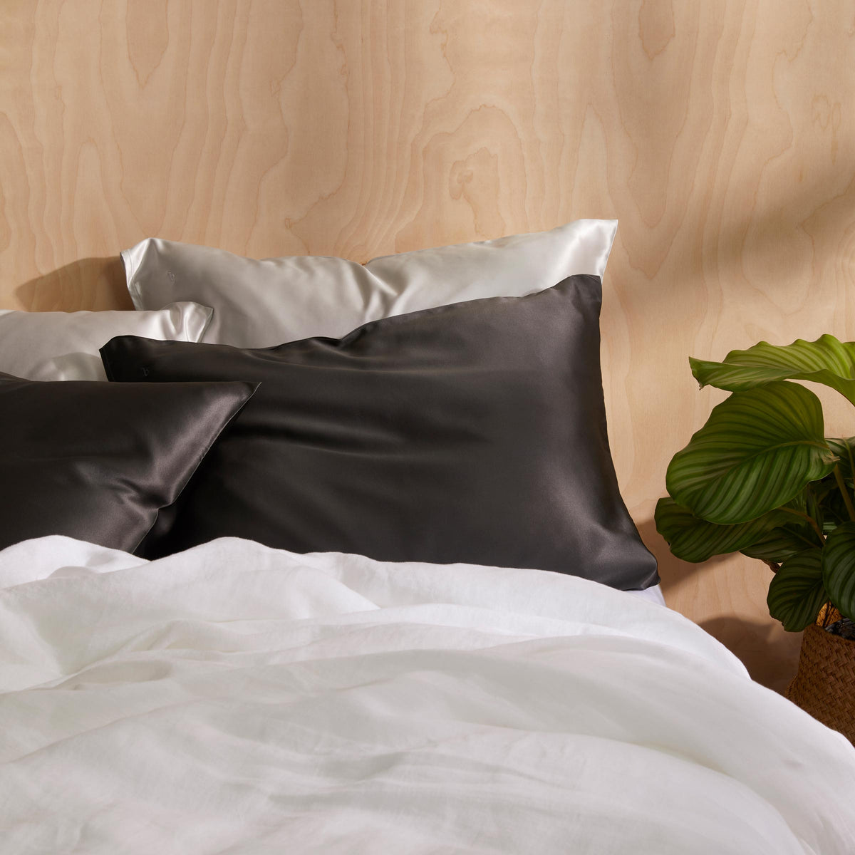 Mulberry Silk Bundle