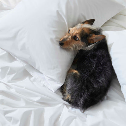 Classic Percale Duvet Cover