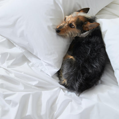 Test Classic Percale Hardcore Sheet Bundle