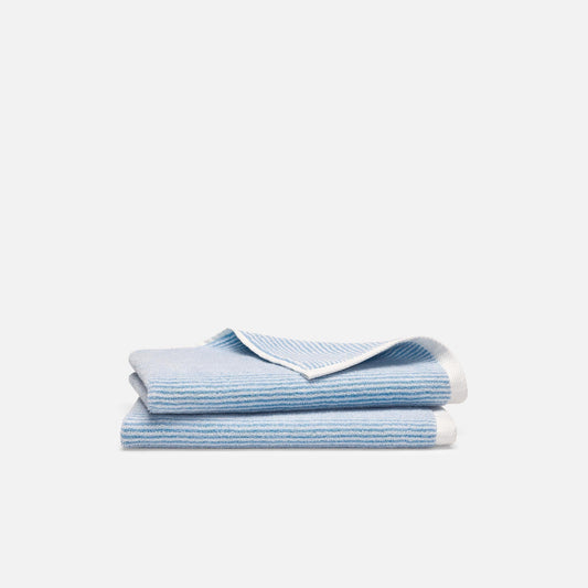 Plush Turkish Cotton Hand Towels Set of 2 - Last Call