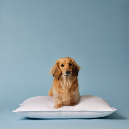 Down Alternative Pillow