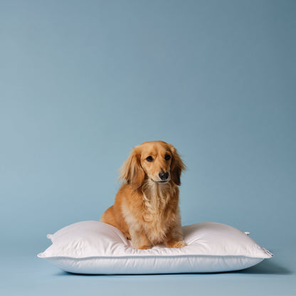 Down Alternative Pillow