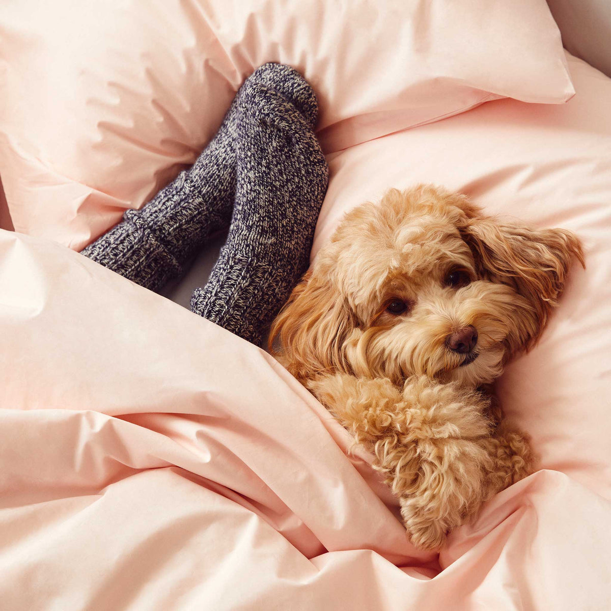 Rewards Luxe Sateen Pillowcase Set