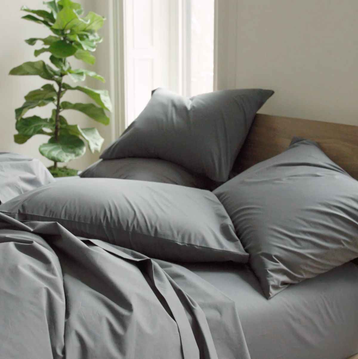 Test Classic Percale Pillowcases
