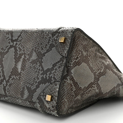 Snakeskin Mini Luggage Multicolor