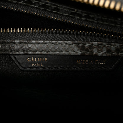 Snakeskin Mini Luggage Multicolor