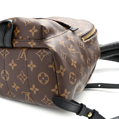 Monogram Palm Springs Backpack PM